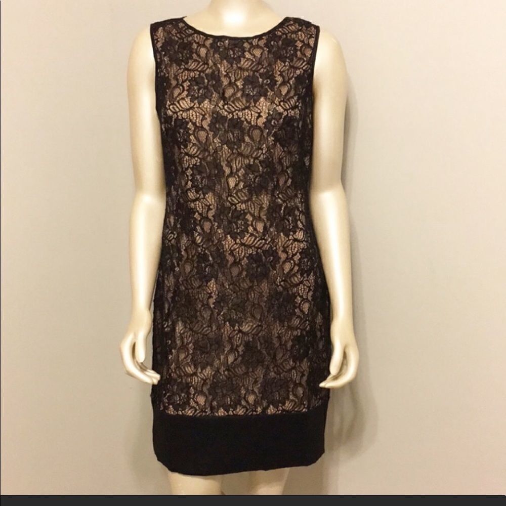 Cache lace dress 